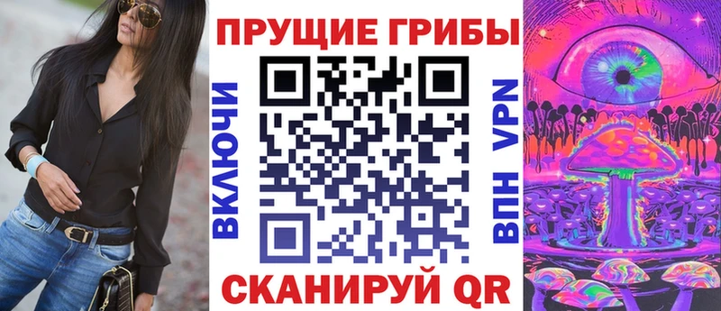 Купить  Гороховец  Галлюциногенные грибы Psilocybe 